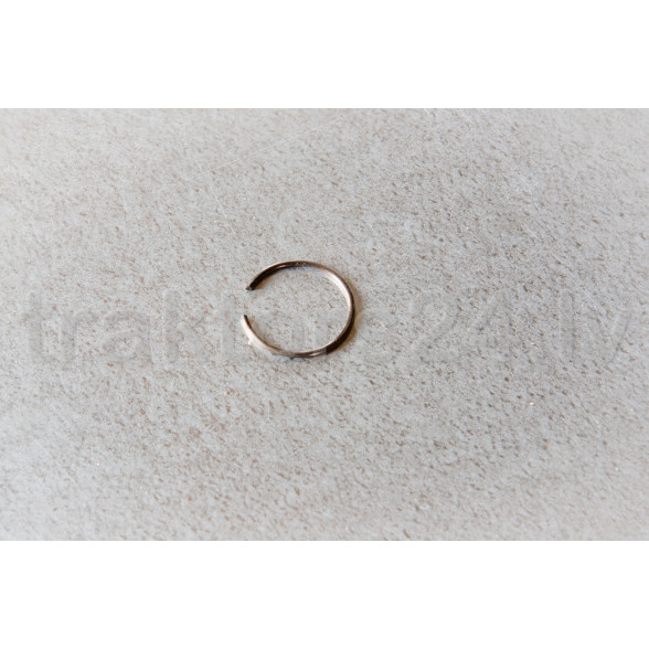 Sprostgredzens 86-1802017-B