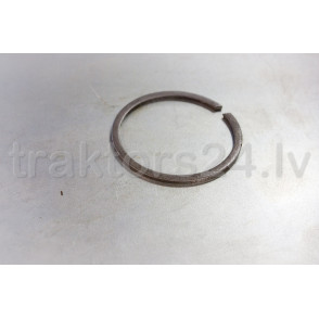 Sprostgredzena balsts 50-1701187