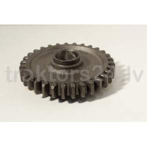 Atpakaļgaitas zobrats 70-1701082 (Z=31)