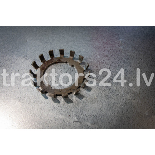 Jūgvārpstas uzgaļa paplāksne 2022-4202069