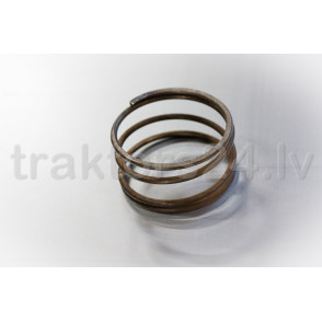 Vārpstas atspere 86-1802027