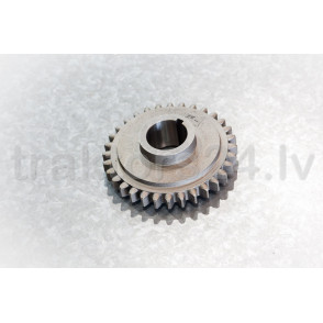 Vārpstas zobrats 220-1701258 (Z=32)