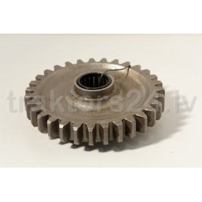 Zobrats (atpakaļgaita) 70-1701080-01 (Z=31)