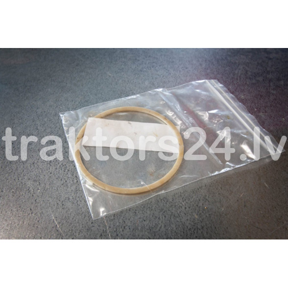 Hidrocilindra C100 blīve  C100-1313042