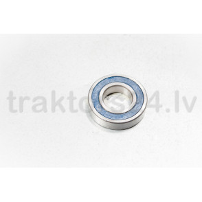 Gultnis 6207-2RS (180207)