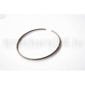 Vārpstas atspere 54-31-472