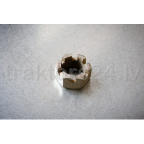 Uzgrieznis A04.02.018