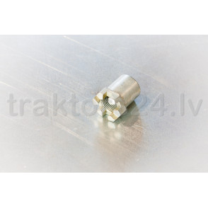 Vainaguzgrieznis 820-4635024