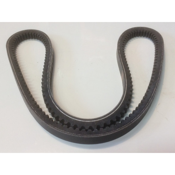 Ķīļsiksna 1000226661