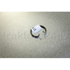 Jūgvārpstas sprostgredzens 220-4202027